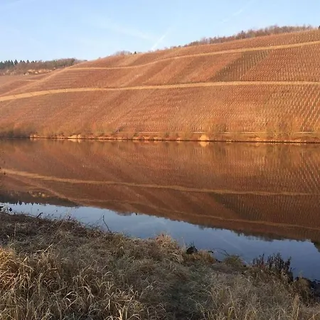 Weisenstein *
